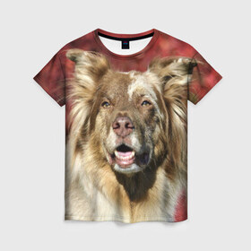 Женская футболка 3D с принтом Австралийская овчарка в Белгороде, 100% полиэфир ( синтетическое хлопкоподобное полотно) | прямой крой, круглый вырез горловины, длина до линии бедер | Тематика изображения на принте: австралийская овчарка | животное | порода | собака