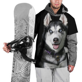 Накидка на куртку 3D с принтом Аляскинский кли кай в Белгороде, 100% полиэстер |  | аляскинский кли кай | животное | порода | собака
