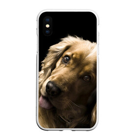 Чехол для iPhone XS Max матовый с принтом Английский кокер-спаниель в Белгороде, Силикон | Область печати: задняя сторона чехла, без боковых панелей | английский кокер спаниель | животно | порода | собака