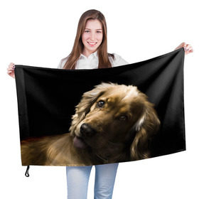 Флаг 3D с принтом Английский кокер-спаниель в Белгороде, 100% полиэстер | плотность ткани — 95 г/м2, размер — 67 х 109 см. Принт наносится с одной стороны | английский кокер спаниель | животно | порода | собака
