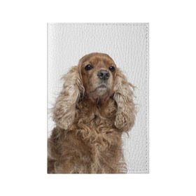 Обложка для паспорта матовая кожа с принтом Английский кокер-спаниель в Белгороде, натуральная матовая кожа | размер 19,3 х 13,7 см; прозрачные пластиковые крепления | английский кокер спаниель | порода | собака