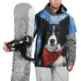 Накидка на куртку 3D с принтом Бордер-колли в Белгороде, 100% полиэстер |  | бордер колли | животное | порода | собака