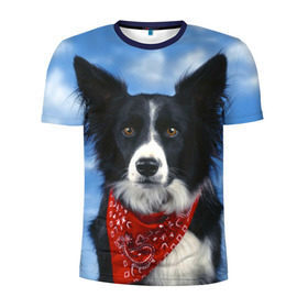 Мужская футболка 3D спортивная с принтом Бордер-колли в Белгороде, 100% полиэстер с улучшенными характеристиками | приталенный силуэт, круглая горловина, широкие плечи, сужается к линии бедра | Тематика изображения на принте: бордер колли | животное | порода | собака