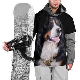 Накидка на куртку 3D с принтом Бернский зенненхунд в Белгороде, 100% полиэстер |  | бернский зенненхунд | животное | порода | собака