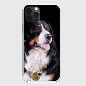 Чехол для iPhone 12 Pro Max с принтом Бернский зенненхунд в Белгороде, Силикон |  | Тематика изображения на принте: бернский зенненхунд | животное | порода | собака