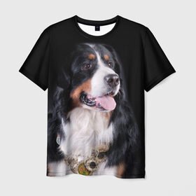 Мужская футболка 3D с принтом Бернский зенненхунд в Белгороде, 100% полиэфир | прямой крой, круглый вырез горловины, длина до линии бедер | Тематика изображения на принте: бернский зенненхунд | животное | порода | собака