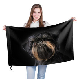 Флаг 3D с принтом Бельгийский грифон в Белгороде, 100% полиэстер | плотность ткани — 95 г/м2, размер — 67 х 109 см. Принт наносится с одной стороны | бельгийский грифон | животное | порода | собака