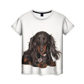 Женская футболка 3D с принтом Карликовая такса в Белгороде, 100% полиэфир ( синтетическое хлопкоподобное полотно) | прямой крой, круглый вырез горловины, длина до линии бедер | животное | карликовая такса | порода | собака