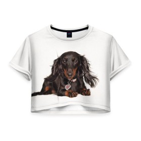 Женская футболка 3D укороченная с принтом Карликовая такса в Белгороде, 100% полиэстер | круглая горловина, длина футболки до линии талии, рукава с отворотами | животное | карликовая такса | порода | собака