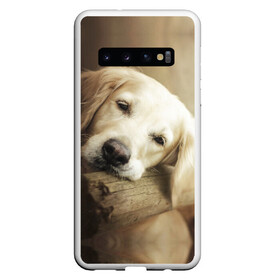 Чехол для Samsung Galaxy S10 с принтом Золотистый ретривер в Белгороде, Силикон | Область печати: задняя сторона чехла, без боковых панелей | Тематика изображения на принте: животное | золотистый ретривер | порода | собака