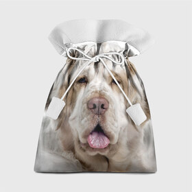 Подарочный 3D мешок с принтом Кламбер-спаниель в Белгороде, 100% полиэстер | Размер: 29*39 см | Тематика изображения на принте: животное | кламбер спаниель | порода | собака