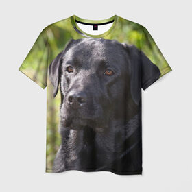 Мужская футболка 3D с принтом Лабрадор в Белгороде, 100% полиэфир | прямой крой, круглый вырез горловины, длина до линии бедер | Тематика изображения на принте: животное | лабрадор | порода | собака