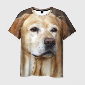 Мужская футболка 3D с принтом Лабрадор в Белгороде, 100% полиэфир | прямой крой, круглый вырез горловины, длина до линии бедер | Тематика изображения на принте: животное | лабрадор | порода | собака