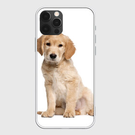 Чехол для iPhone 12 Pro Max с принтом Золотистый ретривер в Белгороде, Силикон |  | Тематика изображения на принте: животное | золотистый ретривер | порода | собака