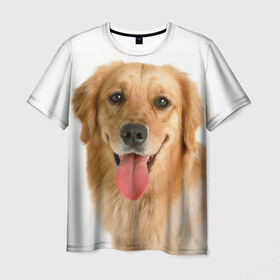 Мужская футболка 3D с принтом Золотистый ретривер в Белгороде, 100% полиэфир | прямой крой, круглый вырез горловины, длина до линии бедер | животное | золотистый ретривер | порода | собака
