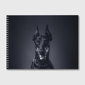 Альбом для рисования с принтом Доберман в Белгороде, 100% бумага
 | матовая бумага, плотность 200 мг. | доберман | животное | порода | собака