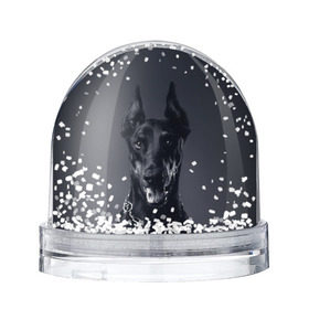 Снежный шар с принтом Доберман в Белгороде, Пластик | Изображение внутри шара печатается на глянцевой фотобумаге с двух сторон | Тематика изображения на принте: доберман | животное | порода | собака