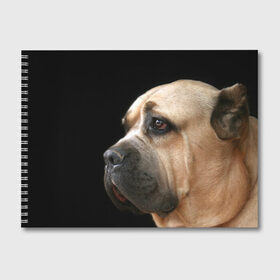 Альбом для рисования с принтом Канне корсо в Белгороде, 100% бумага
 | матовая бумага, плотность 200 мг. | животное | канне корсо | порода | собака