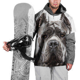 Накидка на куртку 3D с принтом Канне корсо в Белгороде, 100% полиэстер |  | животное | канне корсо | порода | собака