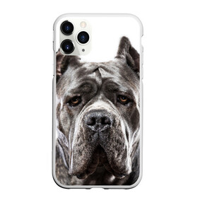 Чехол для iPhone 11 Pro Max матовый с принтом Канне корсо в Белгороде, Силикон |  | животное | канне корсо | порода | собака