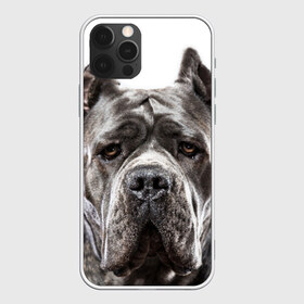 Чехол для iPhone 12 Pro Max с принтом Канне корсо в Белгороде, Силикон |  | Тематика изображения на принте: животное | канне корсо | порода | собака