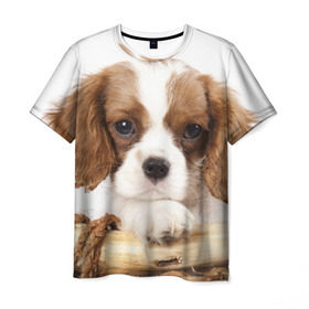 Мужская футболка 3D с принтом Кинг чарльз спаниель в Белгороде, 100% полиэфир | прямой крой, круглый вырез горловины, длина до линии бедер | животное | кинг чарльз спаниель | порода | собака