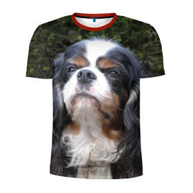 Мужская футболка 3D спортивная с принтом Кинг чарльз спаниель в Белгороде, 100% полиэстер с улучшенными характеристиками | приталенный силуэт, круглая горловина, широкие плечи, сужается к линии бедра | животное | кинг чарльз спаниель | порода | собака
