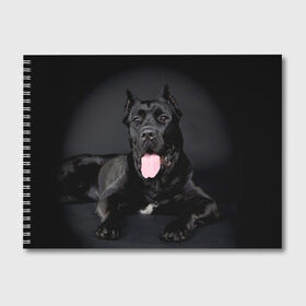 Альбом для рисования с принтом Канне корсо в Белгороде, 100% бумага
 | матовая бумага, плотность 200 мг. | Тематика изображения на принте: животное | канне корсо | порода | собака