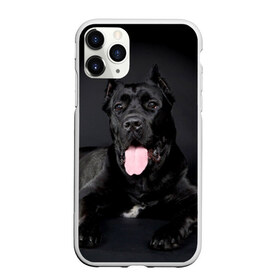 Чехол для iPhone 11 Pro матовый с принтом Канне корсо в Белгороде, Силикон |  | животное | канне корсо | порода | собака