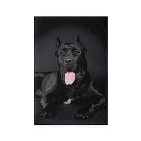 Обложка для паспорта матовая кожа с принтом Канне корсо в Белгороде, натуральная матовая кожа | размер 19,3 х 13,7 см; прозрачные пластиковые крепления | Тематика изображения на принте: животное | канне корсо | порода | собака