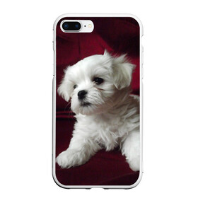 Чехол для iPhone 7Plus/8 Plus матовый с принтом Мальтийская болонка в Белгороде, Силикон | Область печати: задняя сторона чехла, без боковых панелей | животное | мальтийская болонка | порода | собака