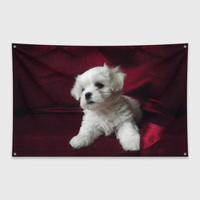 Флаг-баннер с принтом Мальтийская болонка в Белгороде, 100% полиэстер | размер 67 х 109 см, плотность ткани — 95 г/м2; по краям флага есть четыре люверса для крепления | животное | мальтийская болонка | порода | собака