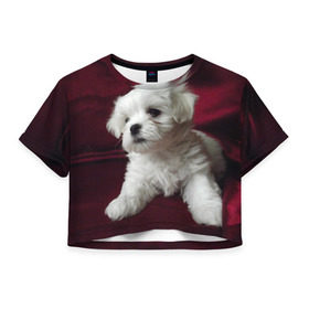Женская футболка 3D укороченная с принтом Мальтийская болонка в Белгороде, 100% полиэстер | круглая горловина, длина футболки до линии талии, рукава с отворотами | животное | мальтийская болонка | порода | собака