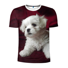 Мужская футболка 3D спортивная с принтом Мальтийская болонка в Белгороде, 100% полиэстер с улучшенными характеристиками | приталенный силуэт, круглая горловина, широкие плечи, сужается к линии бедра | животное | мальтийская болонка | порода | собака