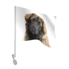 Флаг для автомобиля с принтом Леонбергер в Белгороде, 100% полиэстер | Размер: 30*21 см | животное | леонбергер | порода | собака