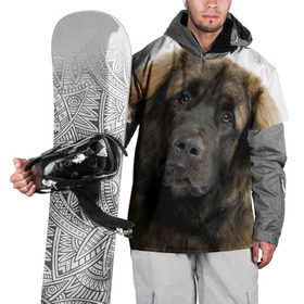 Накидка на куртку 3D с принтом Леонбергер в Белгороде, 100% полиэстер |  | животное | леонбергер | порода | собака