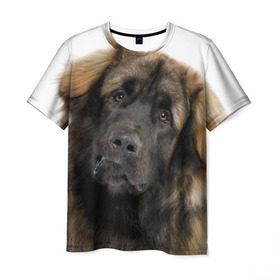 Мужская футболка 3D с принтом Леонбергер в Белгороде, 100% полиэфир | прямой крой, круглый вырез горловины, длина до линии бедер | животное | леонбергер | порода | собака