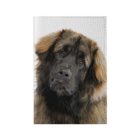 Обложка для паспорта матовая кожа с принтом Леонбергер в Белгороде, натуральная матовая кожа | размер 19,3 х 13,7 см; прозрачные пластиковые крепления | животное | леонбергер | порода | собака