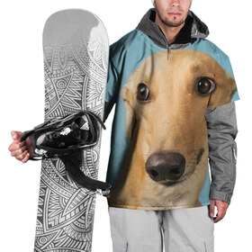 Накидка на куртку 3D с принтом Левретка в Белгороде, 100% полиэстер |  | Тематика изображения на принте: животное | порода | собака