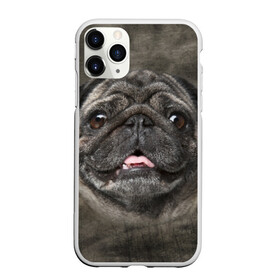 Чехол для iPhone 11 Pro матовый с принтом Мопс в Белгороде, Силикон |  | животное | мопс | порода | собака