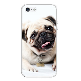 Чехол для iPhone 5/5S матовый с принтом Мопс в Белгороде, Силикон | Область печати: задняя сторона чехла, без боковых панелей | животное | мопс | порода | собака
