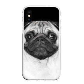 Чехол для iPhone XS Max матовый с принтом Мопс в Белгороде, Силикон | Область печати: задняя сторона чехла, без боковых панелей | животное | мопс | порода | собака