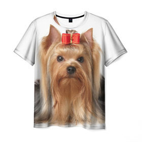 Мужская футболка 3D с принтом Йоркширский терьер в Белгороде, 100% полиэфир | прямой крой, круглый вырез горловины, длина до линии бедер | животное | йоркширский терьер | порода | собака