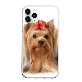 Чехол для iPhone 11 Pro Max матовый с принтом Йоркширский терьер в Белгороде, Силикон |  | животное | йоркширский терьер | порода | собака