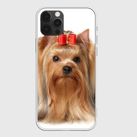 Чехол для iPhone 12 Pro Max с принтом Йоркширский терьер в Белгороде, Силикон |  | животное | йоркширский терьер | порода | собака