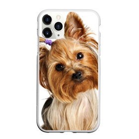 Чехол для iPhone 11 Pro матовый с принтом Йоркширский терьер в Белгороде, Силикон |  | Тематика изображения на принте: животное | йоркширский терьер | порода | собака