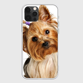 Чехол для iPhone 12 Pro Max с принтом Йоркширский терьер в Белгороде, Силикон |  | животное | йоркширский терьер | порода | собака