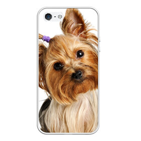 Чехол для iPhone 5/5S матовый с принтом Йоркширский терьер в Белгороде, Силикон | Область печати: задняя сторона чехла, без боковых панелей | животное | йоркширский терьер | порода | собака