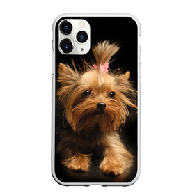 Чехол для iPhone 11 Pro Max матовый с принтом Йоркширский терьер в Белгороде, Силикон |  | животное | йоркширский терьер | порода | собака