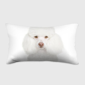 Подушка 3D антистресс с принтом Белый пудель в Белгороде, наволочка — 100% полиэстер, наполнитель — вспененный полистирол | состоит из подушки и наволочки на молнии | белый пудель | животное | порода | собака